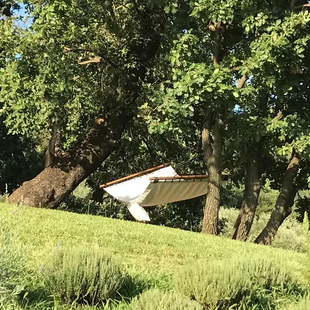 Podere La Fausta Séjour à la ferme *