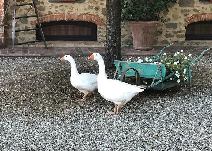 Podere La Fausta